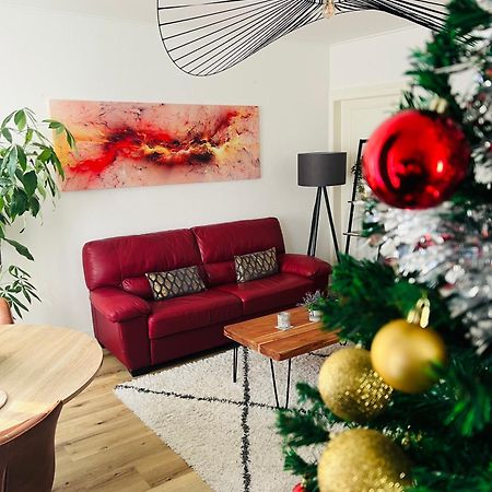 Appartement Cosy Et Lumineux Avec Parking Gratuit Κολμάρ Εξωτερικό φωτογραφία
