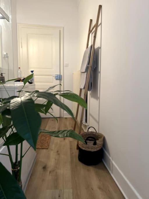 Appartement Cosy Et Lumineux Avec Parking Gratuit Κολμάρ Εξωτερικό φωτογραφία