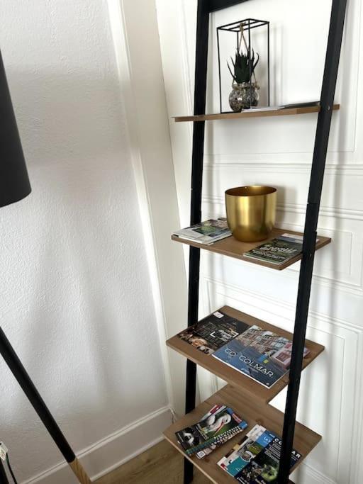 Appartement Cosy Et Lumineux Avec Parking Gratuit Κολμάρ Εξωτερικό φωτογραφία