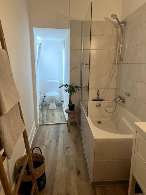 Appartement Cosy Et Lumineux Avec Parking Gratuit Κολμάρ Εξωτερικό φωτογραφία