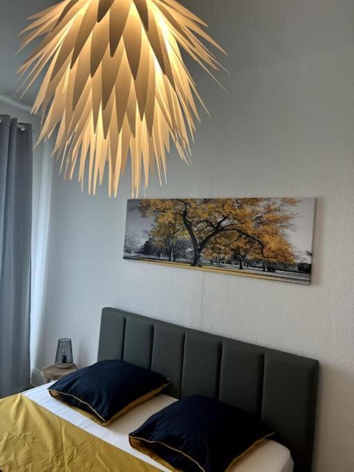 Appartement Cosy Et Lumineux Avec Parking Gratuit Κολμάρ Εξωτερικό φωτογραφία